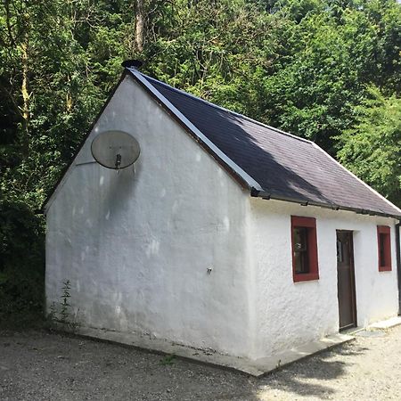 Traditional 18Th Century Converted Stables Wexford Exteriör bild