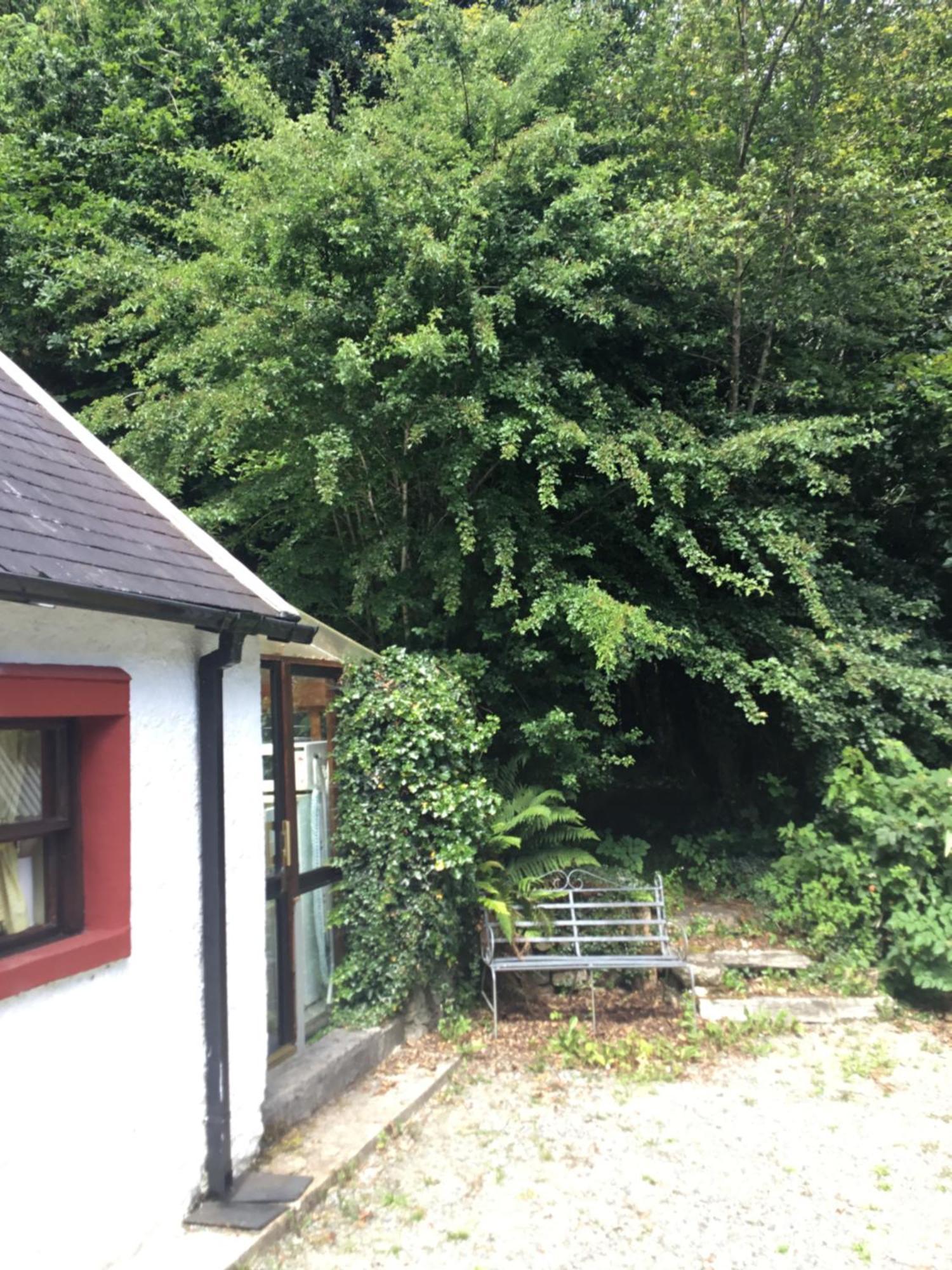 Traditional 18Th Century Converted Stables Wexford Exteriör bild